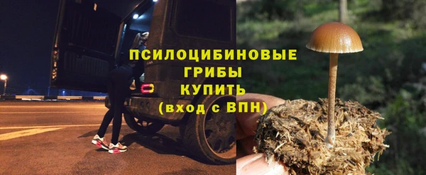 дживик Балахна