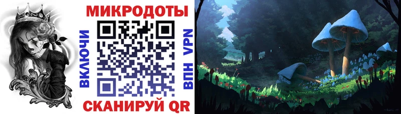 хочу наркоту  Макушино  Галлюциногенные грибы Cubensis 