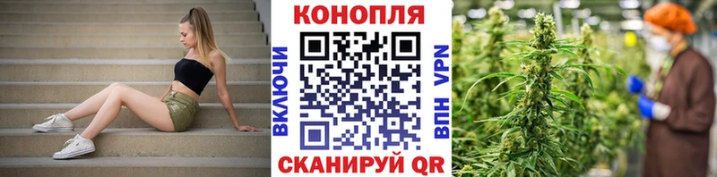 где можно купить наркотик  Макушино  Конопля тримм 